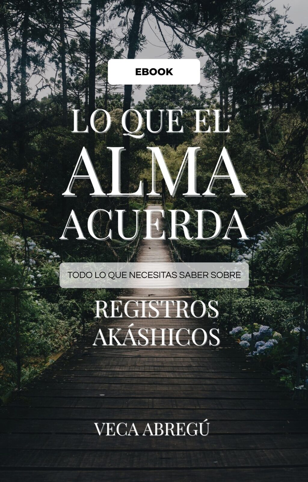 Lo que el Alma Acuerda